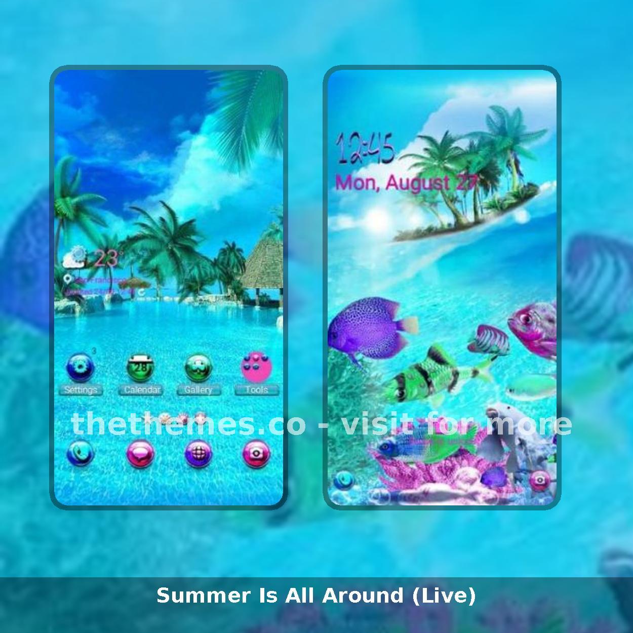 Summer Is All Around (Live)