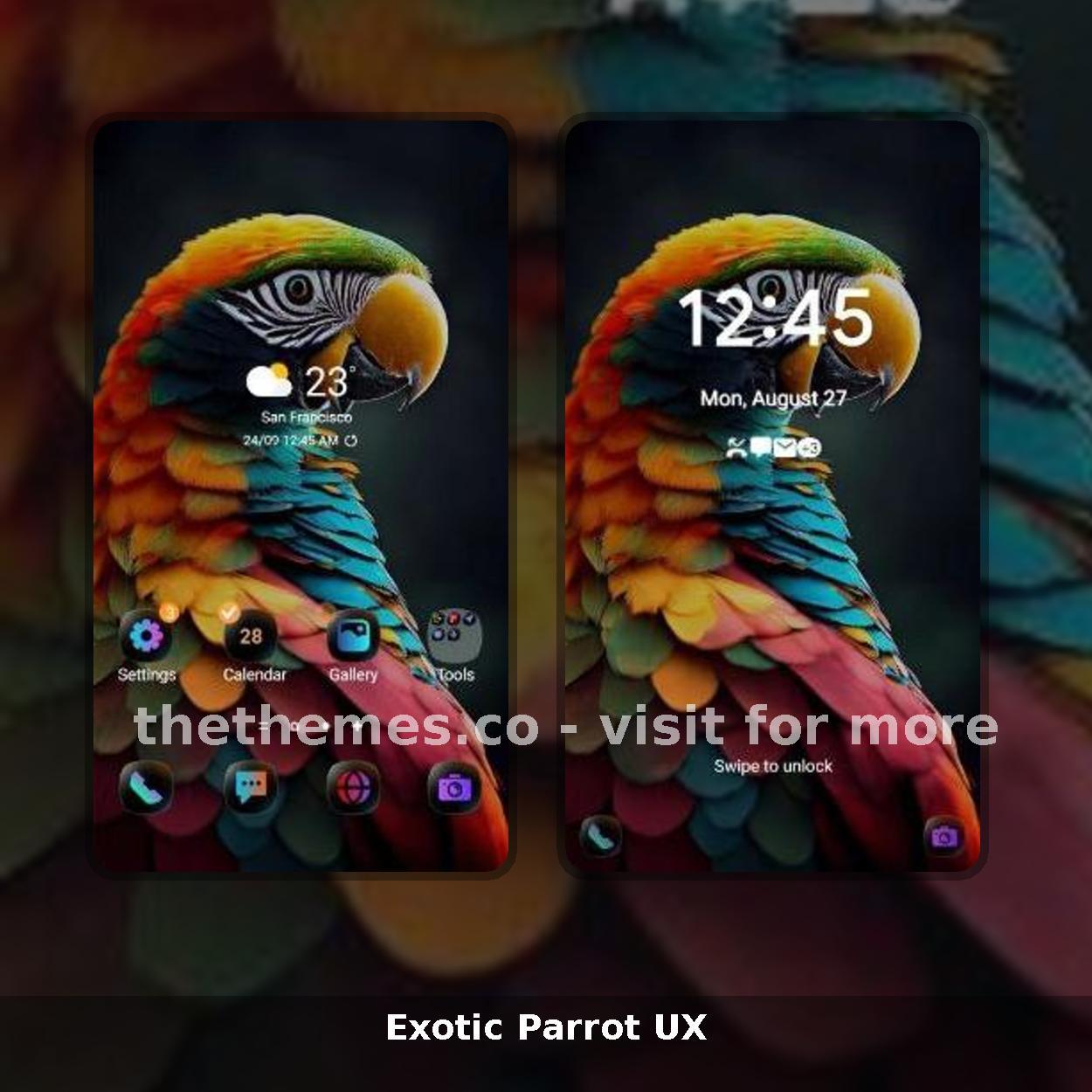 Exotic Parrot UX