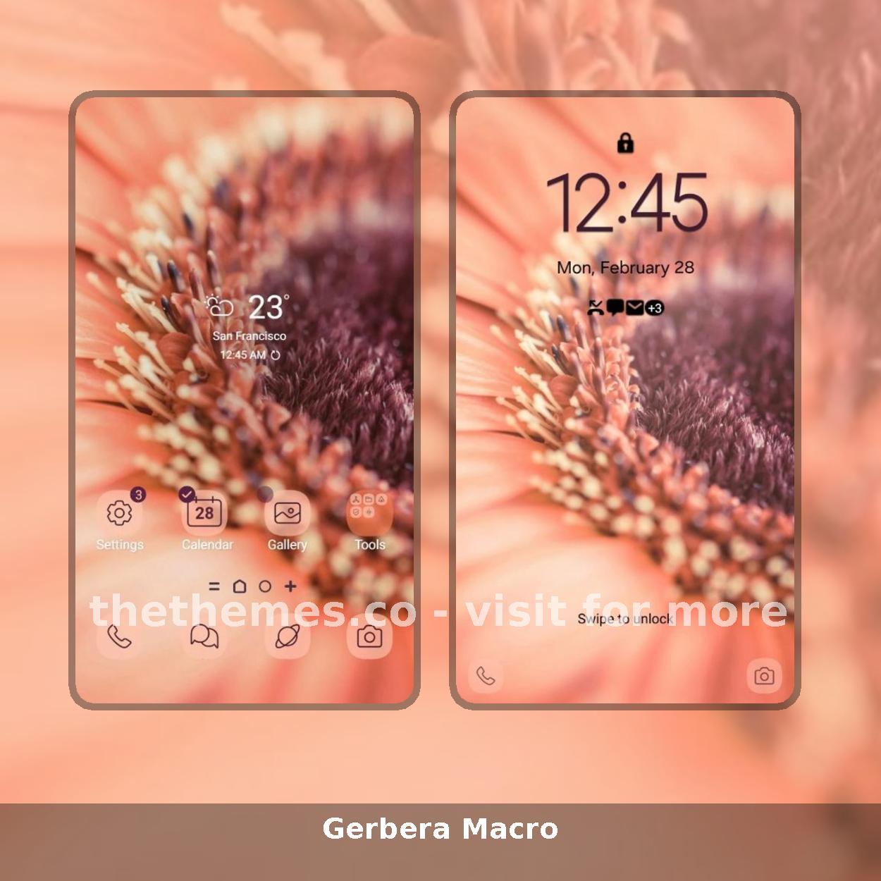 Gerbera Macro