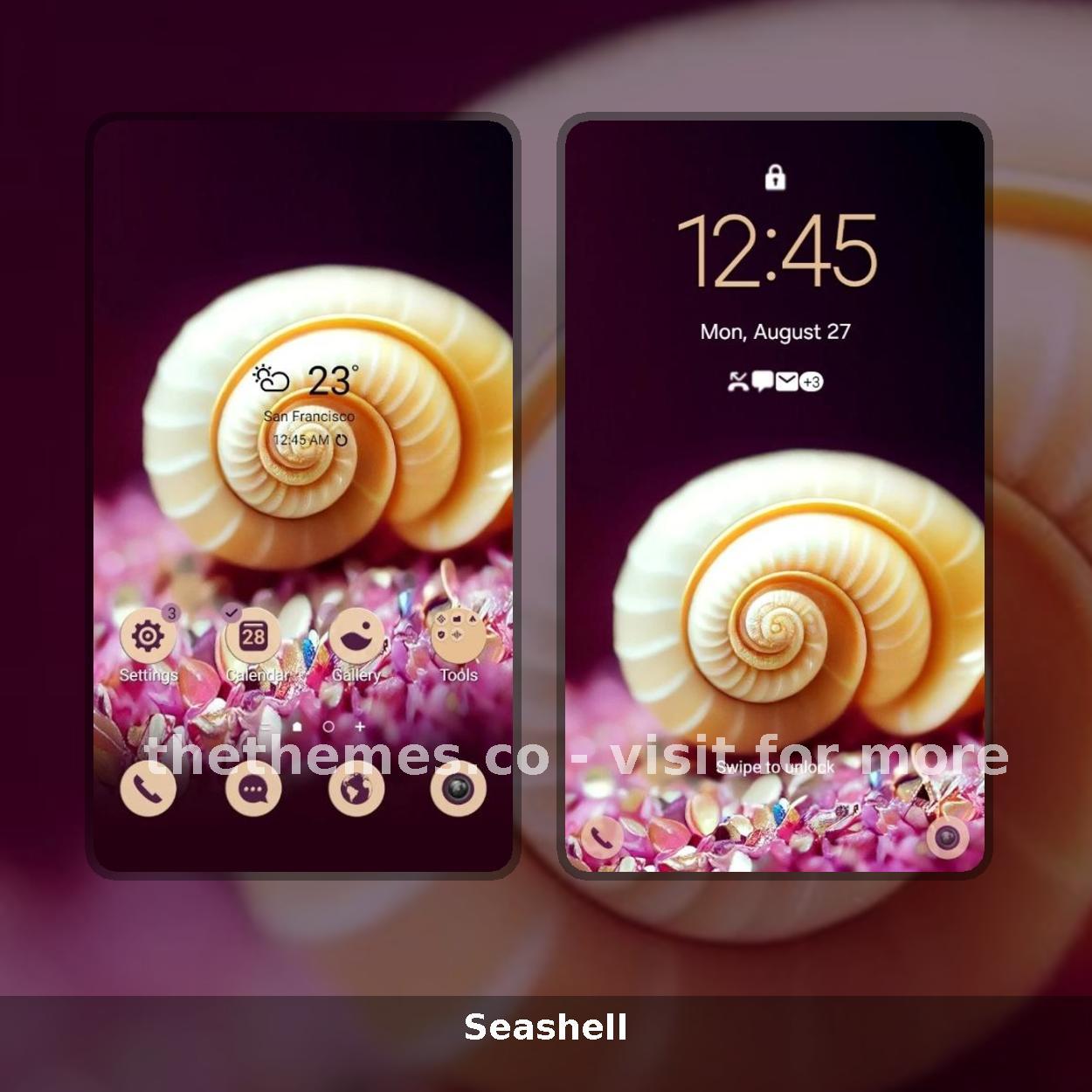 Seashell