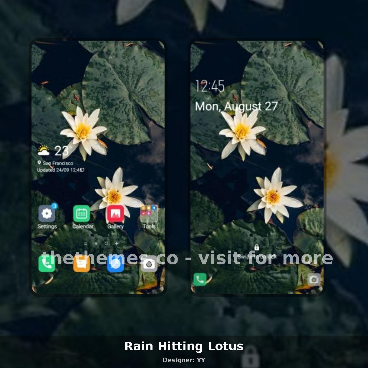 Rain Hitting Lotus