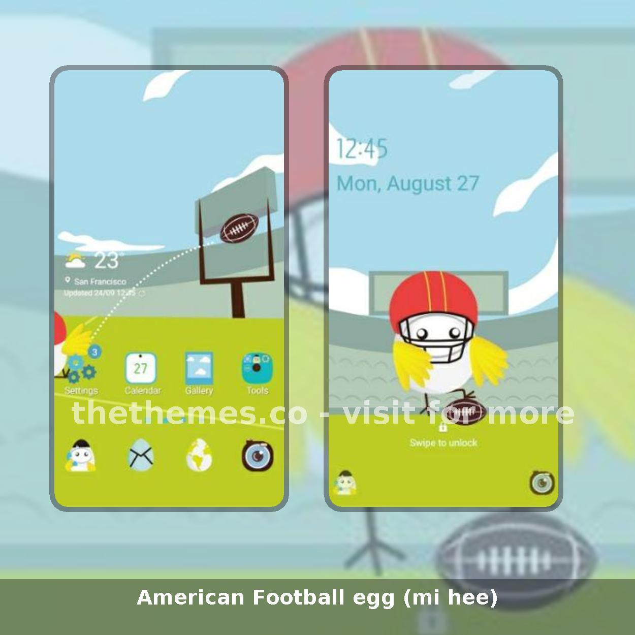 American Football egg (mi hee)