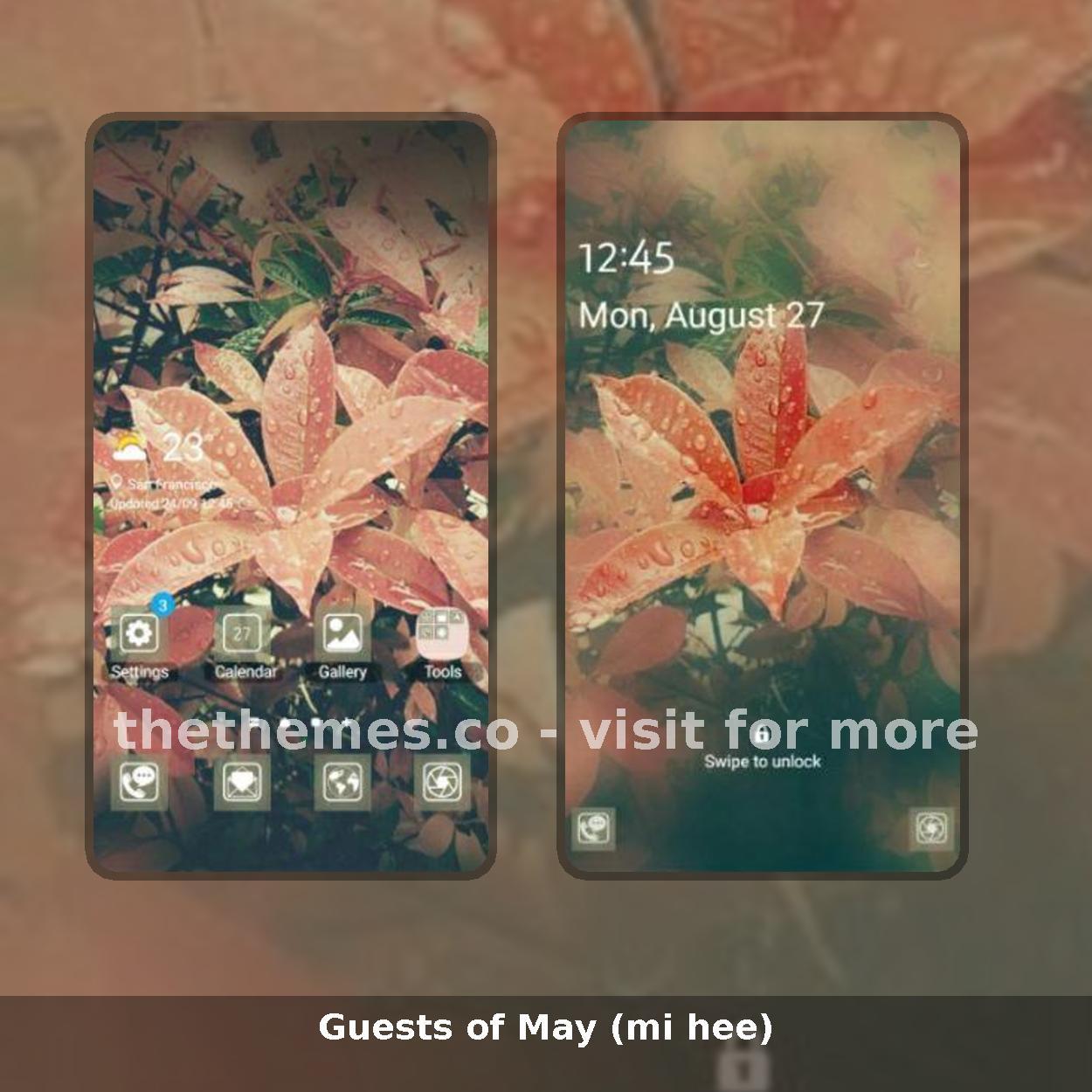 Guests of May (mi hee)