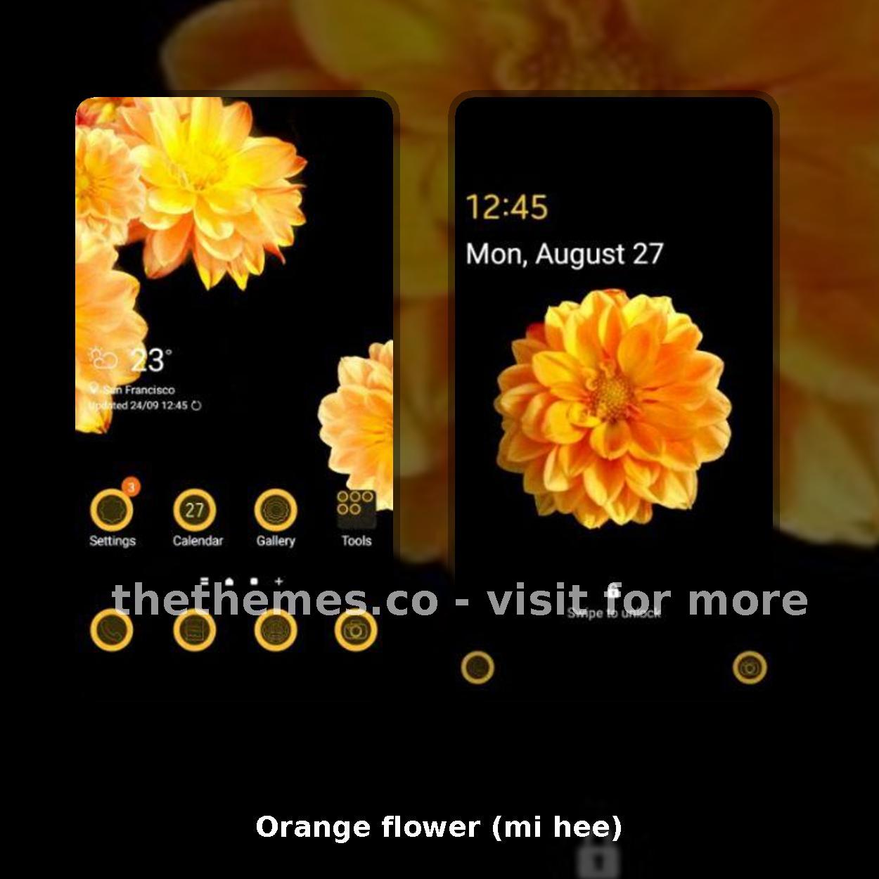 Orange flower (mi hee)