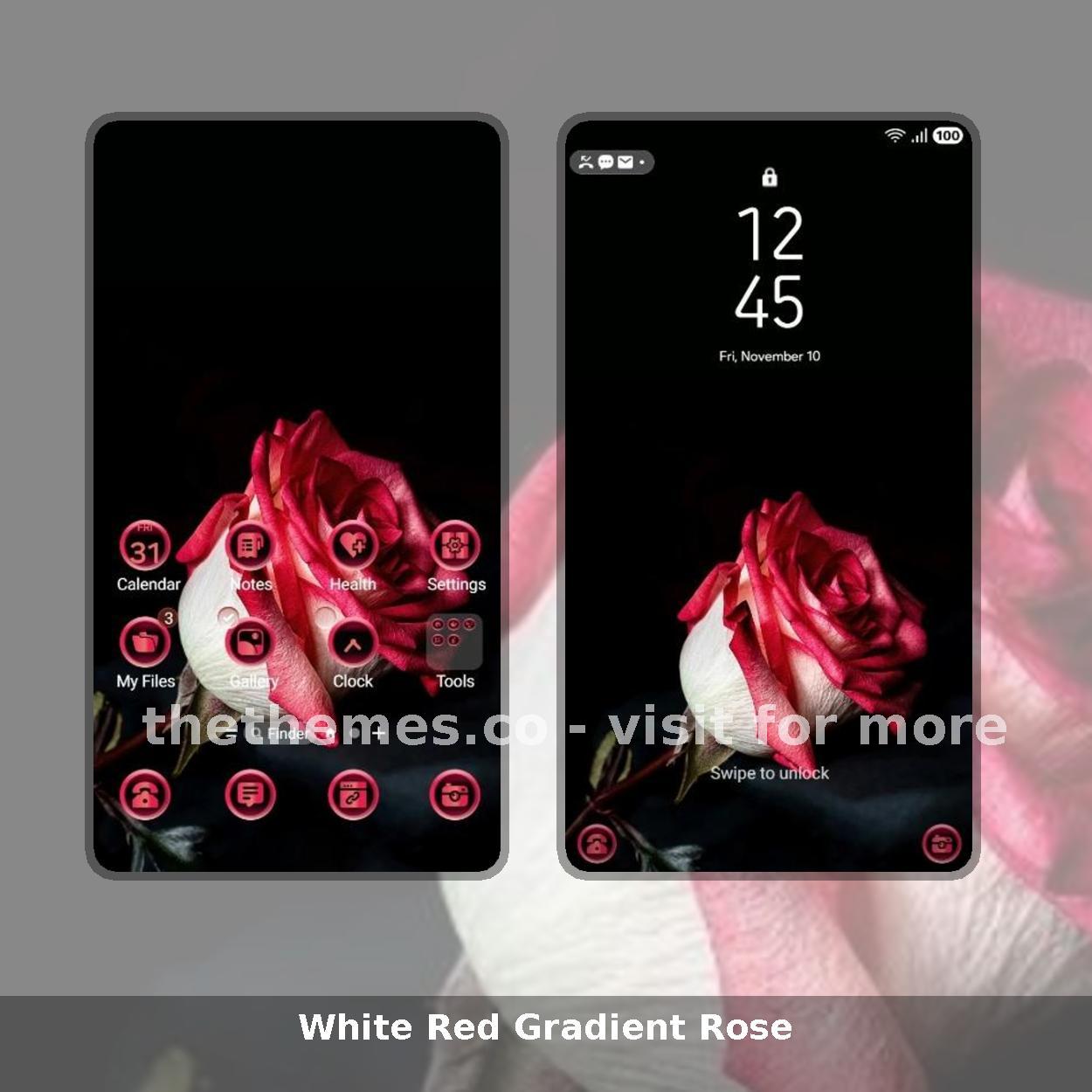 White Red Gradient Rose