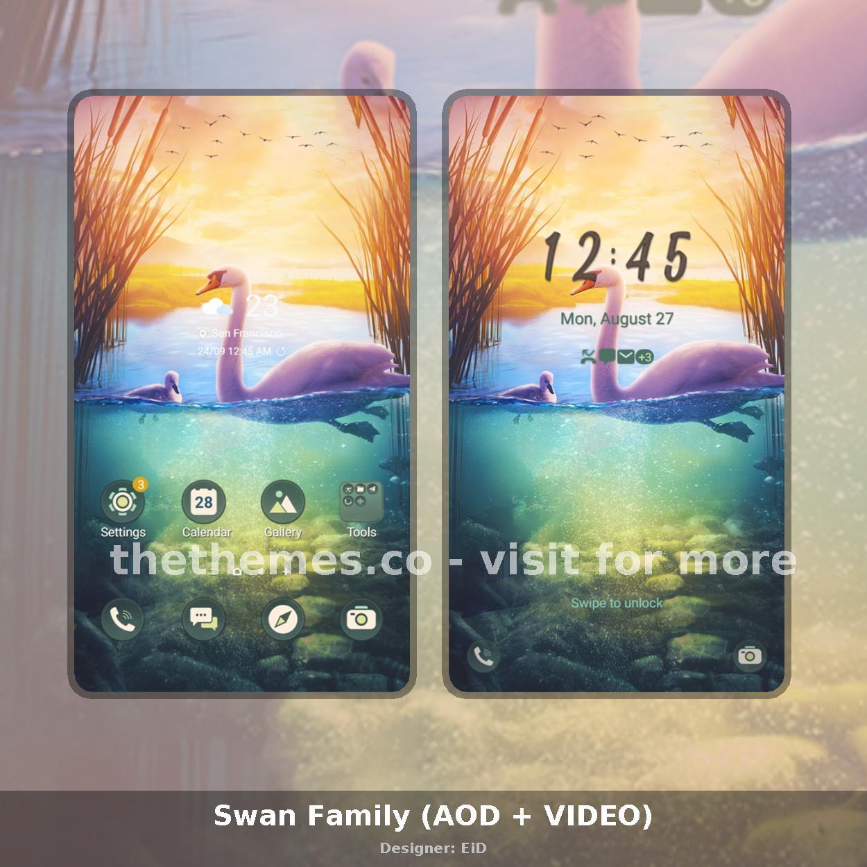 Swan Family (AOD + VIDEO)