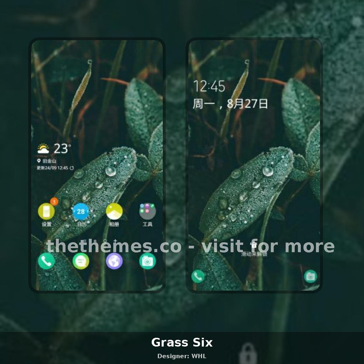 Grass Six