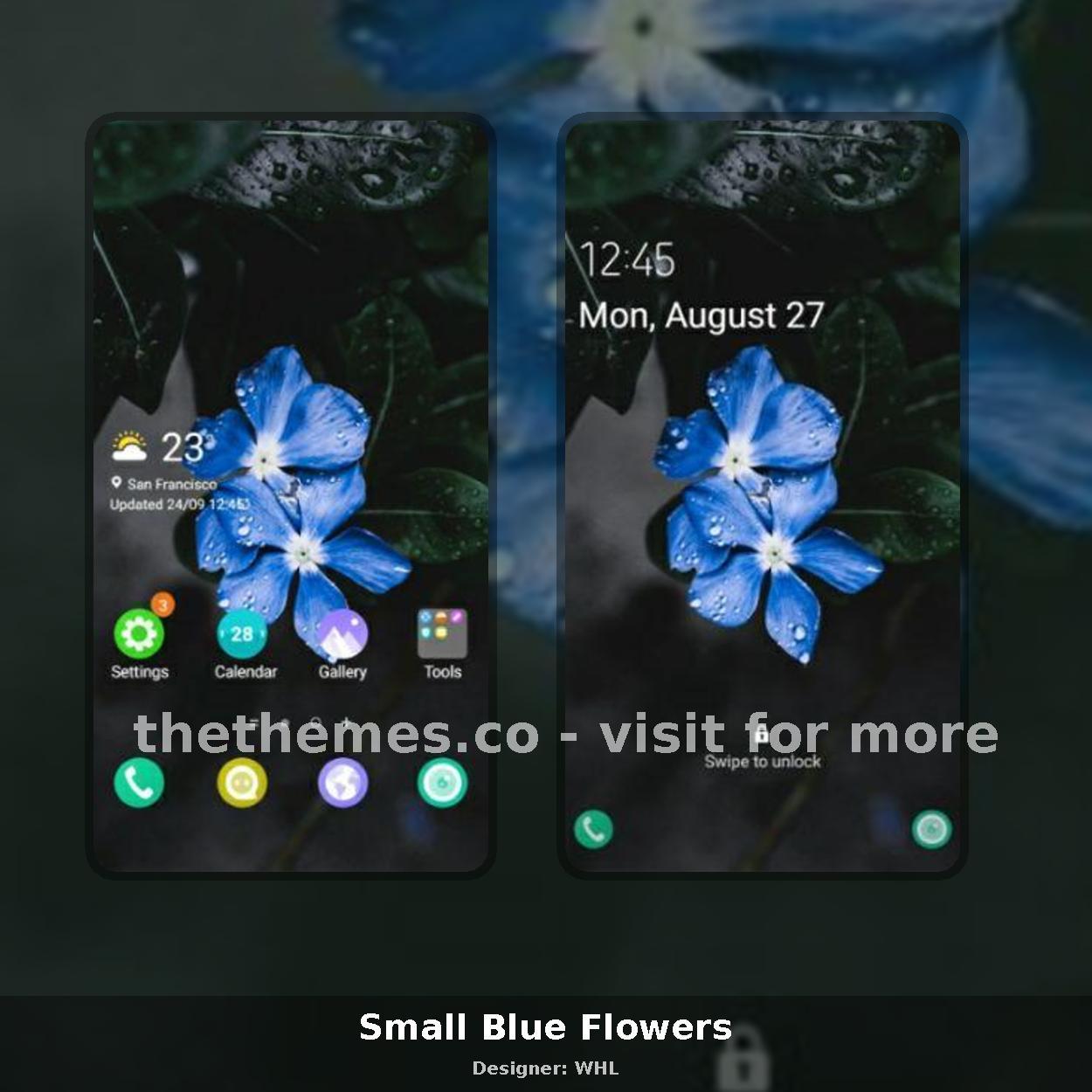 Small Blue Flowers