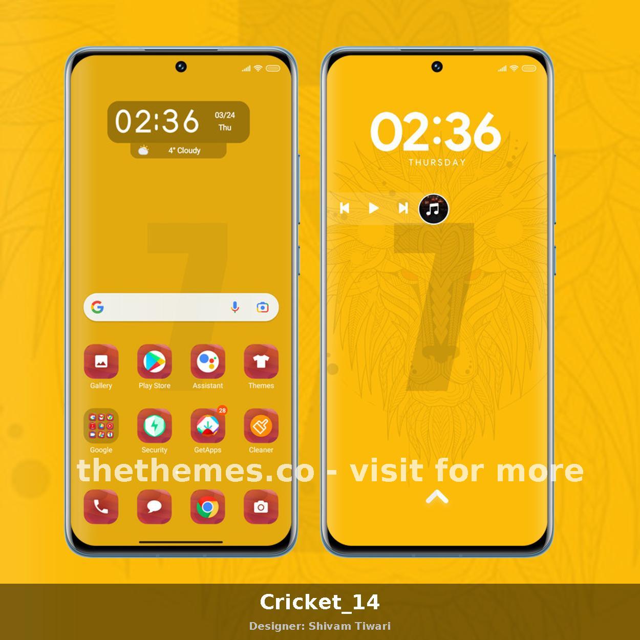 Cricket_14