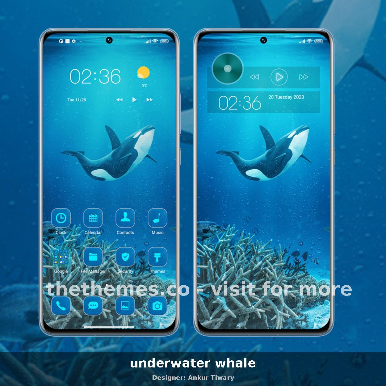 underwater whale