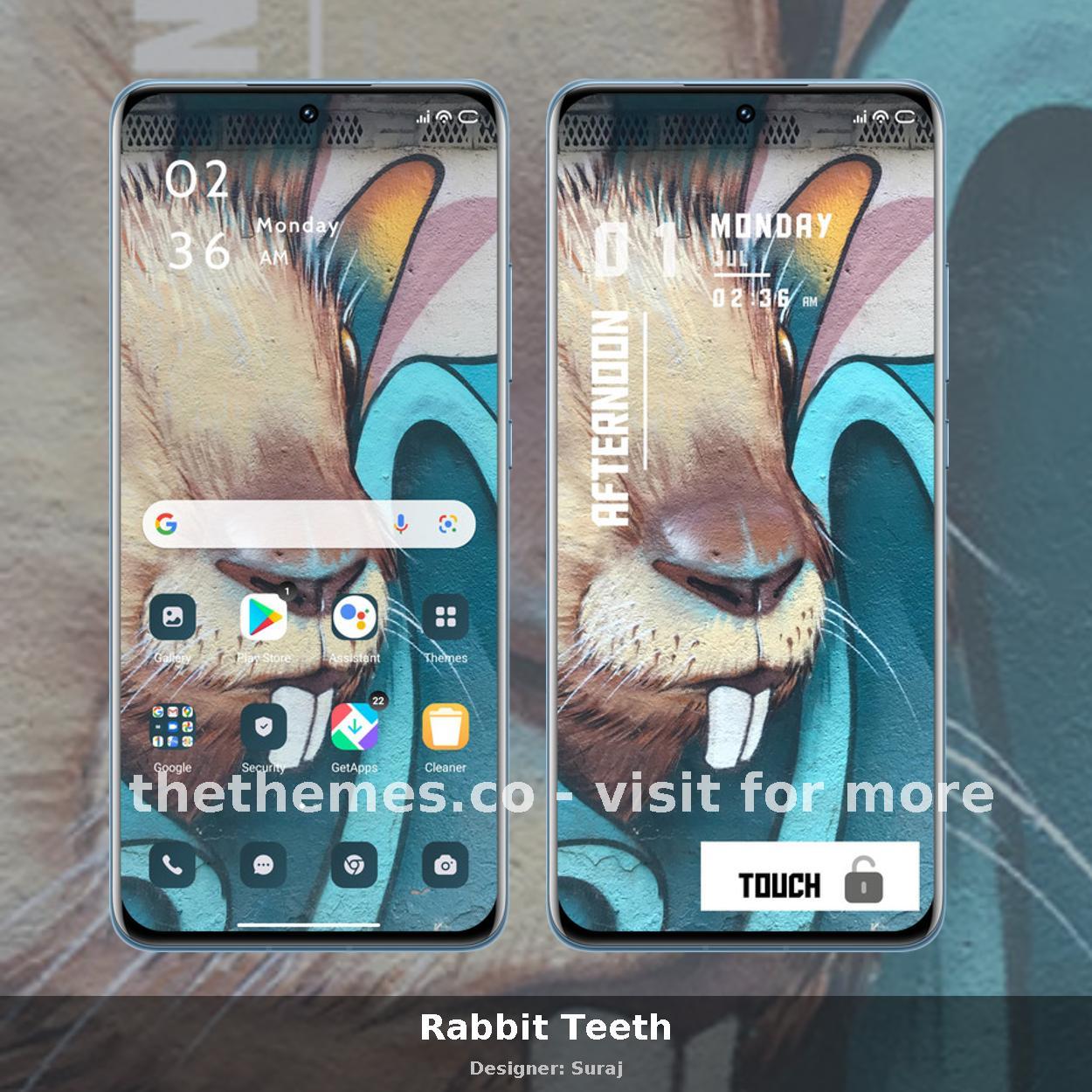 Rabbit Teeth