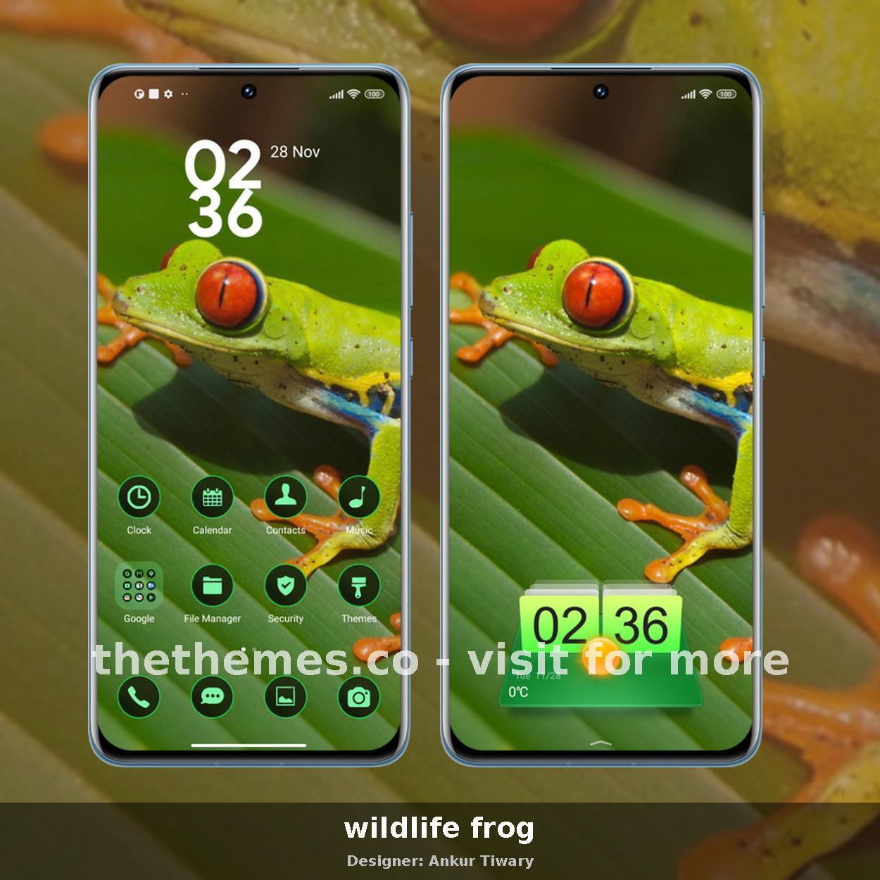 wildlife frog