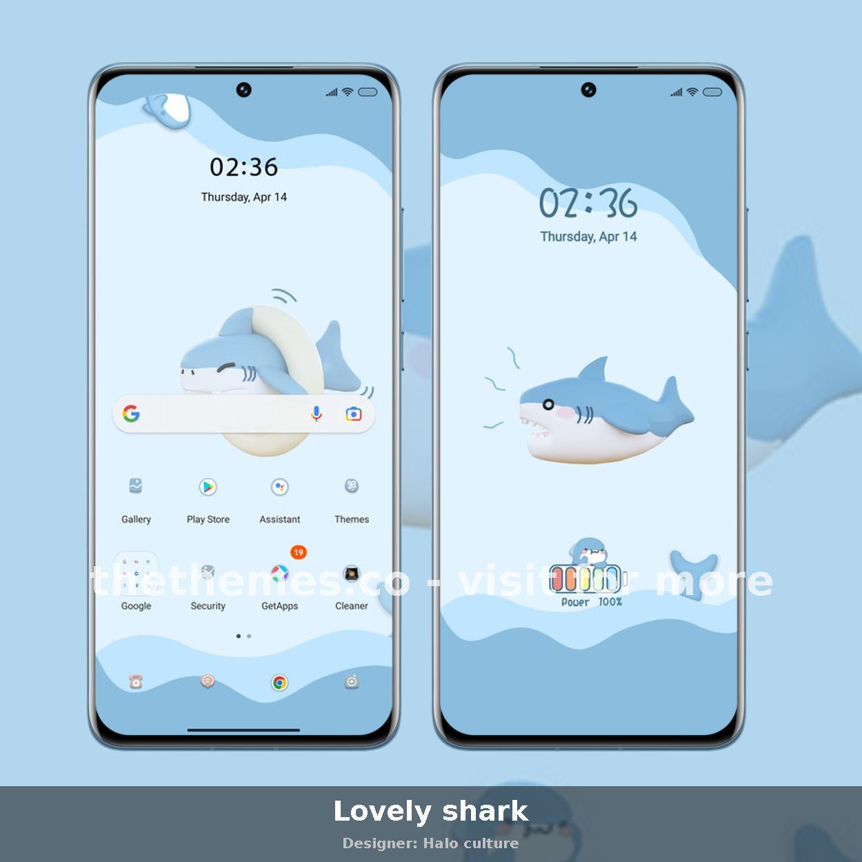 Lovely shark