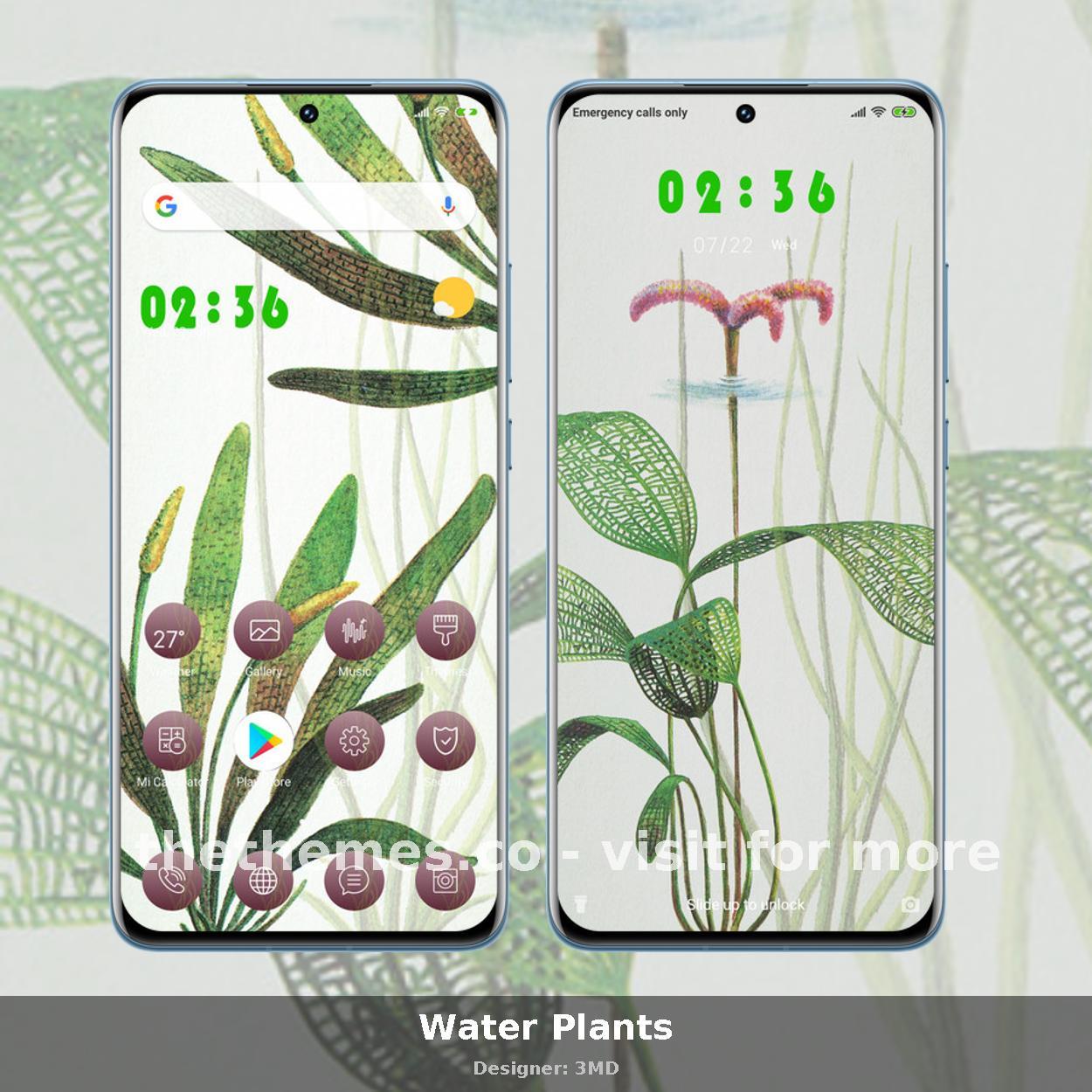 Water Plants