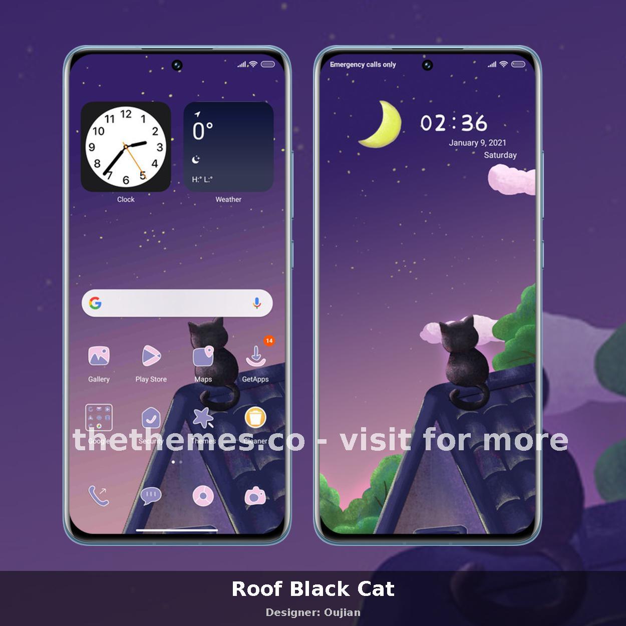 Roof Black Cat