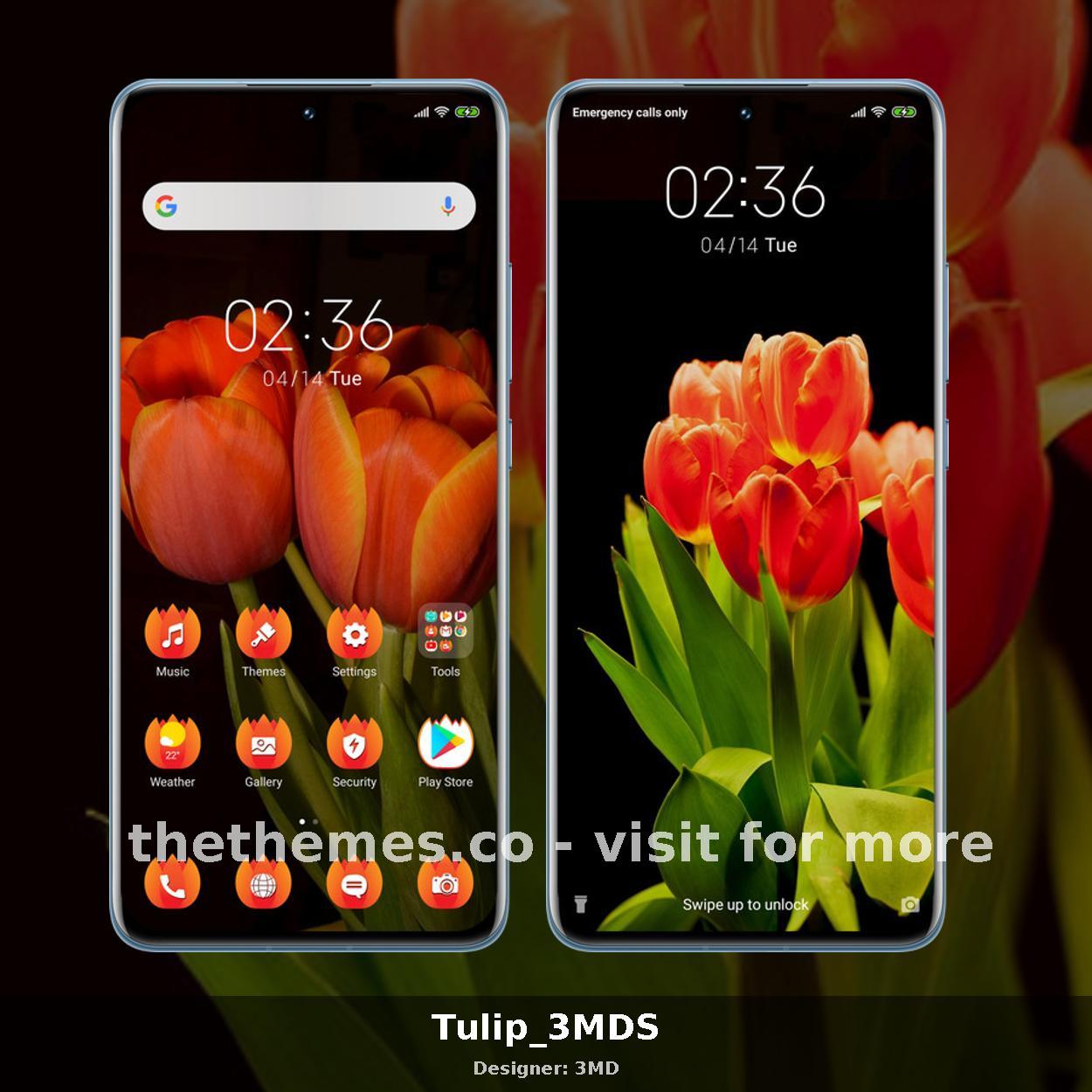 Tulip_3MDS
