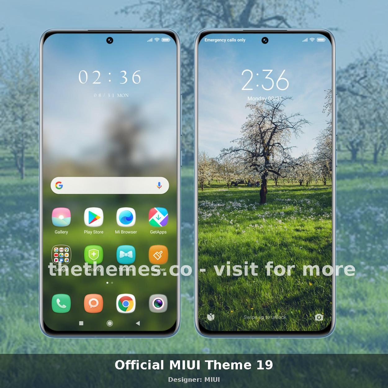 Official MIUI Theme 19