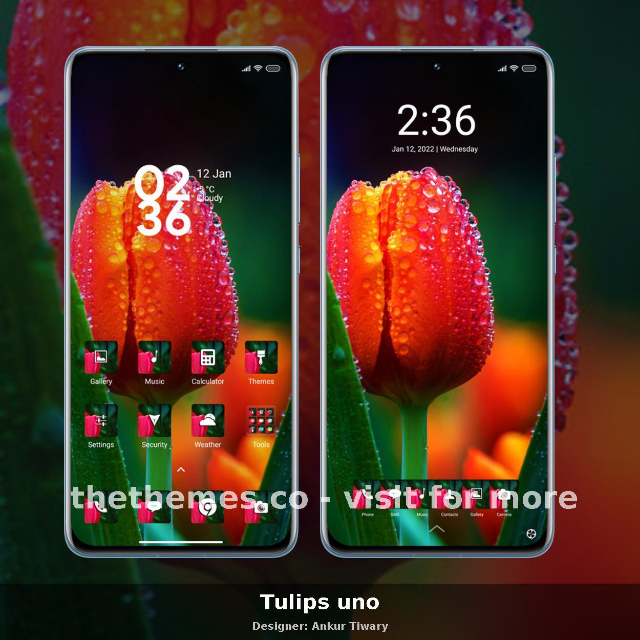 Tulips uno