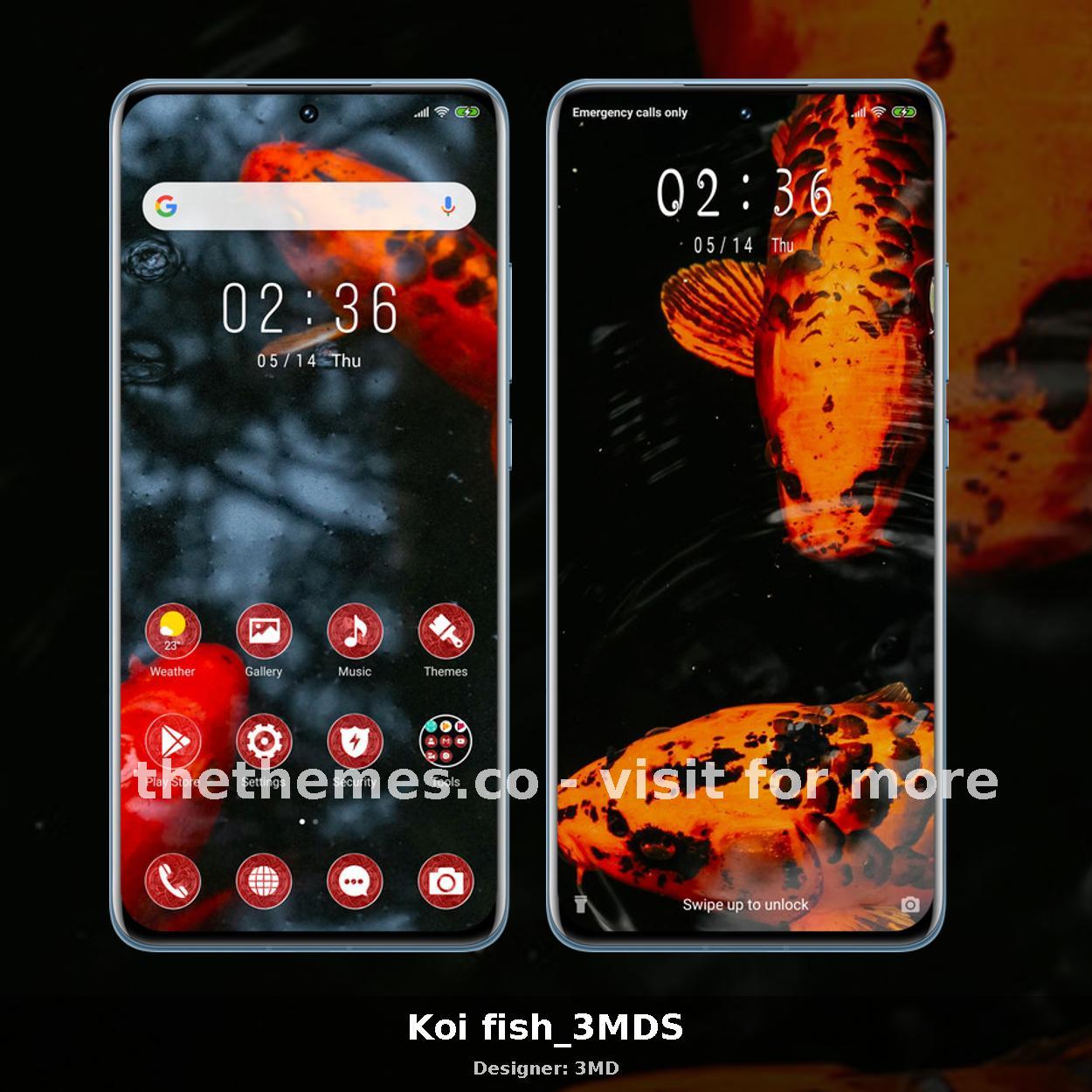 Koi fish_3MDS