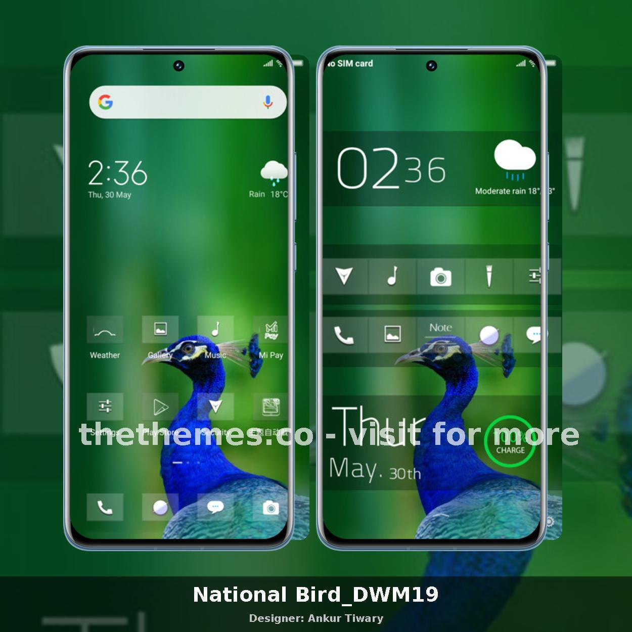 National Bird_DWM19