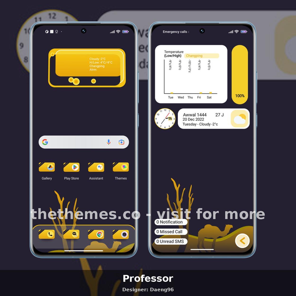 Professor