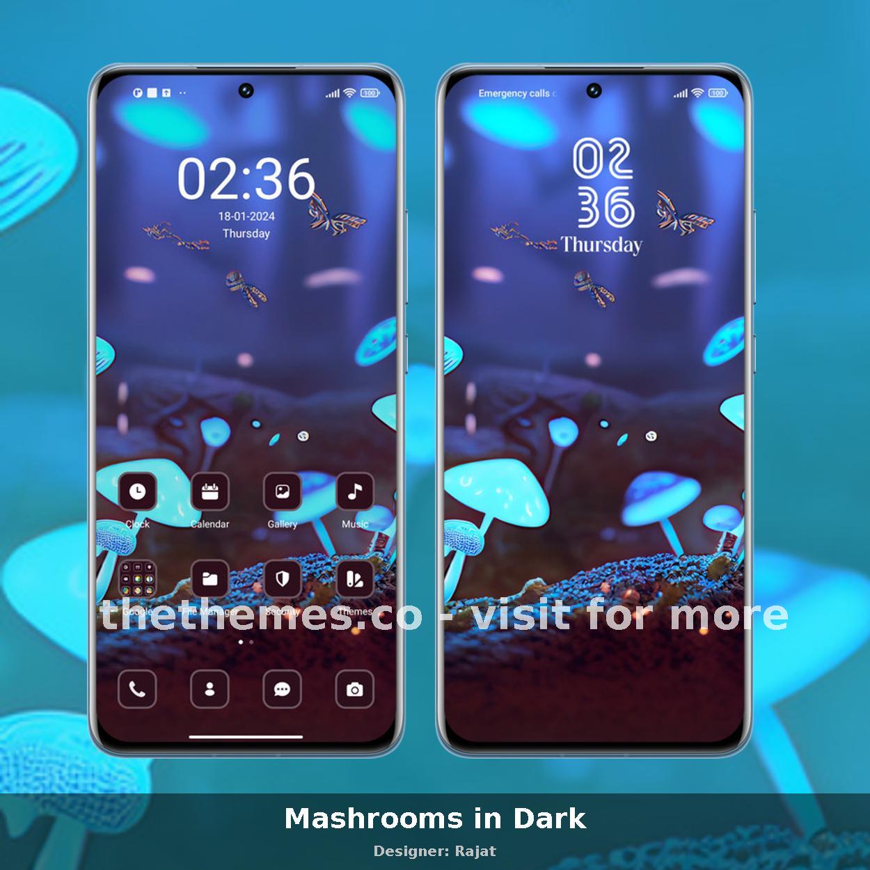 Mashrooms in Dark