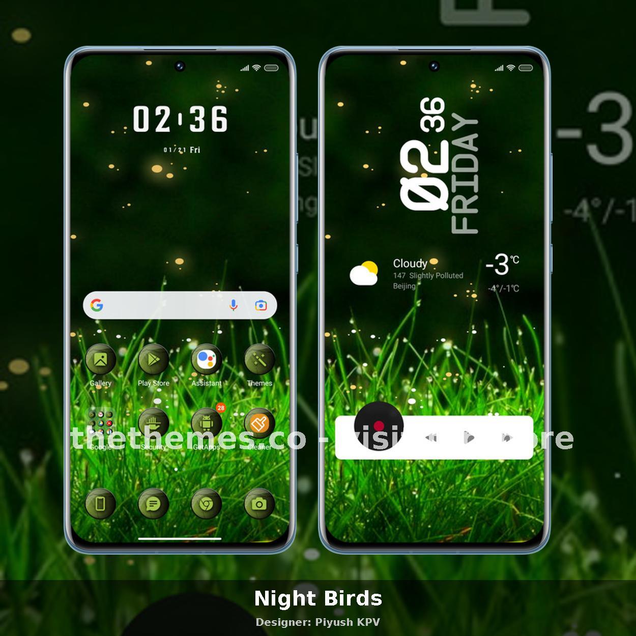 Night Birds
