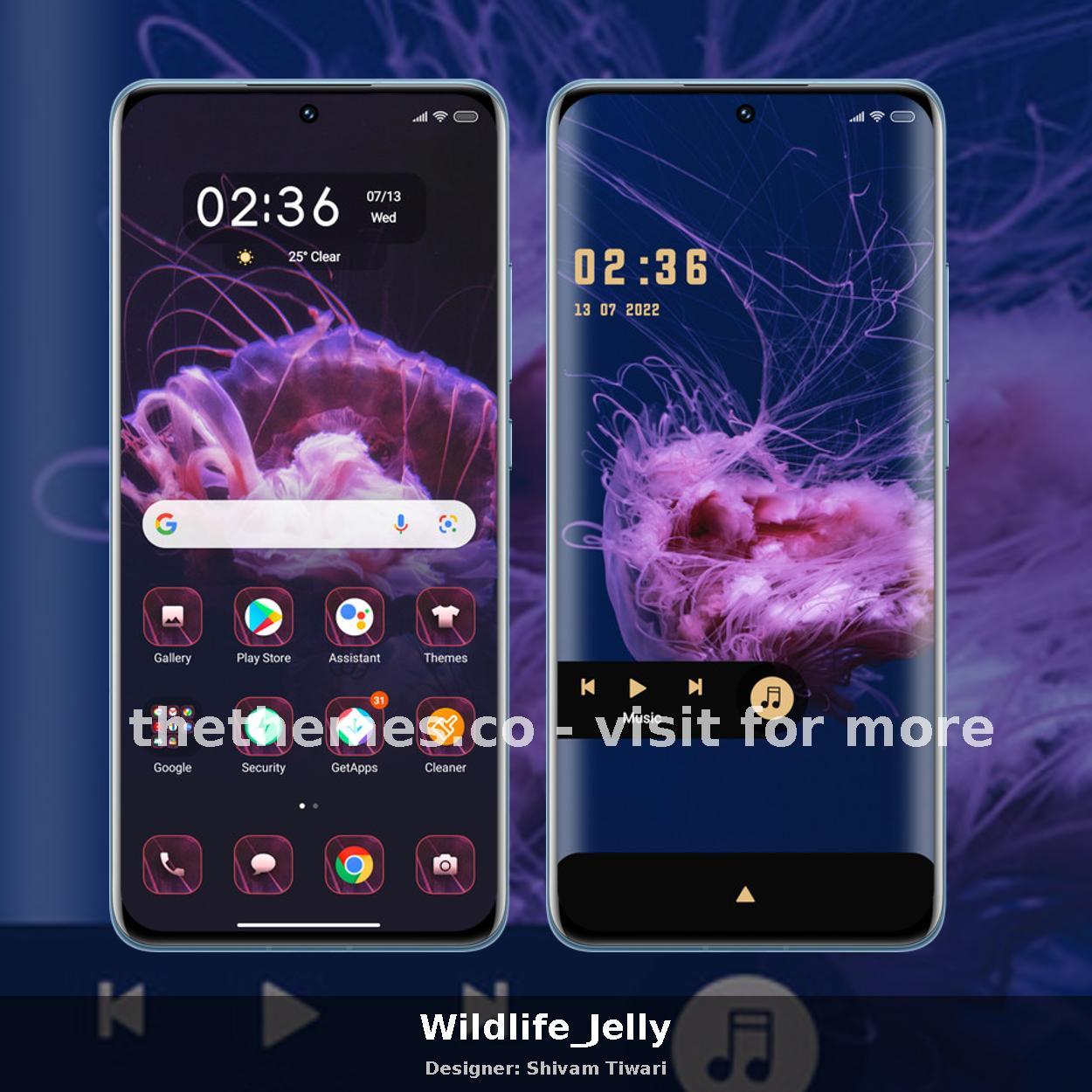 Wildlife_Jelly