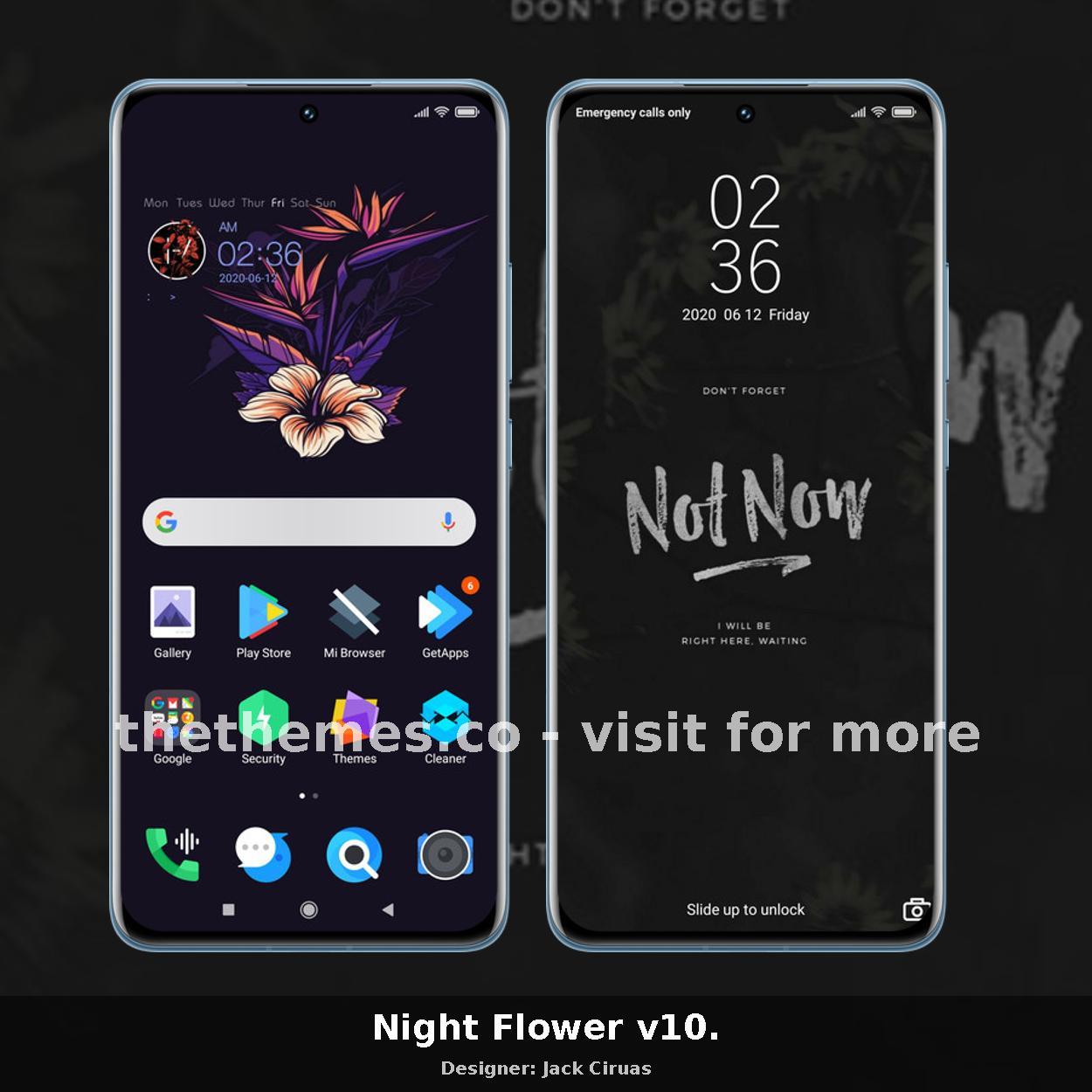 Night Flower v10.