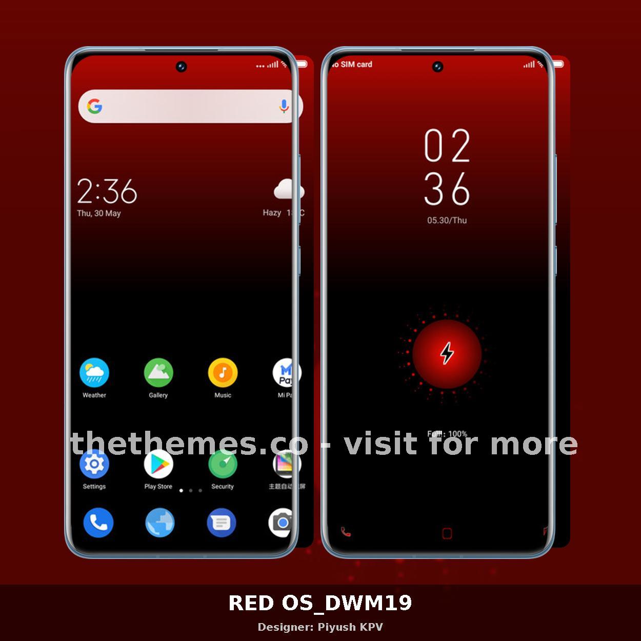 RED OS_DWM19