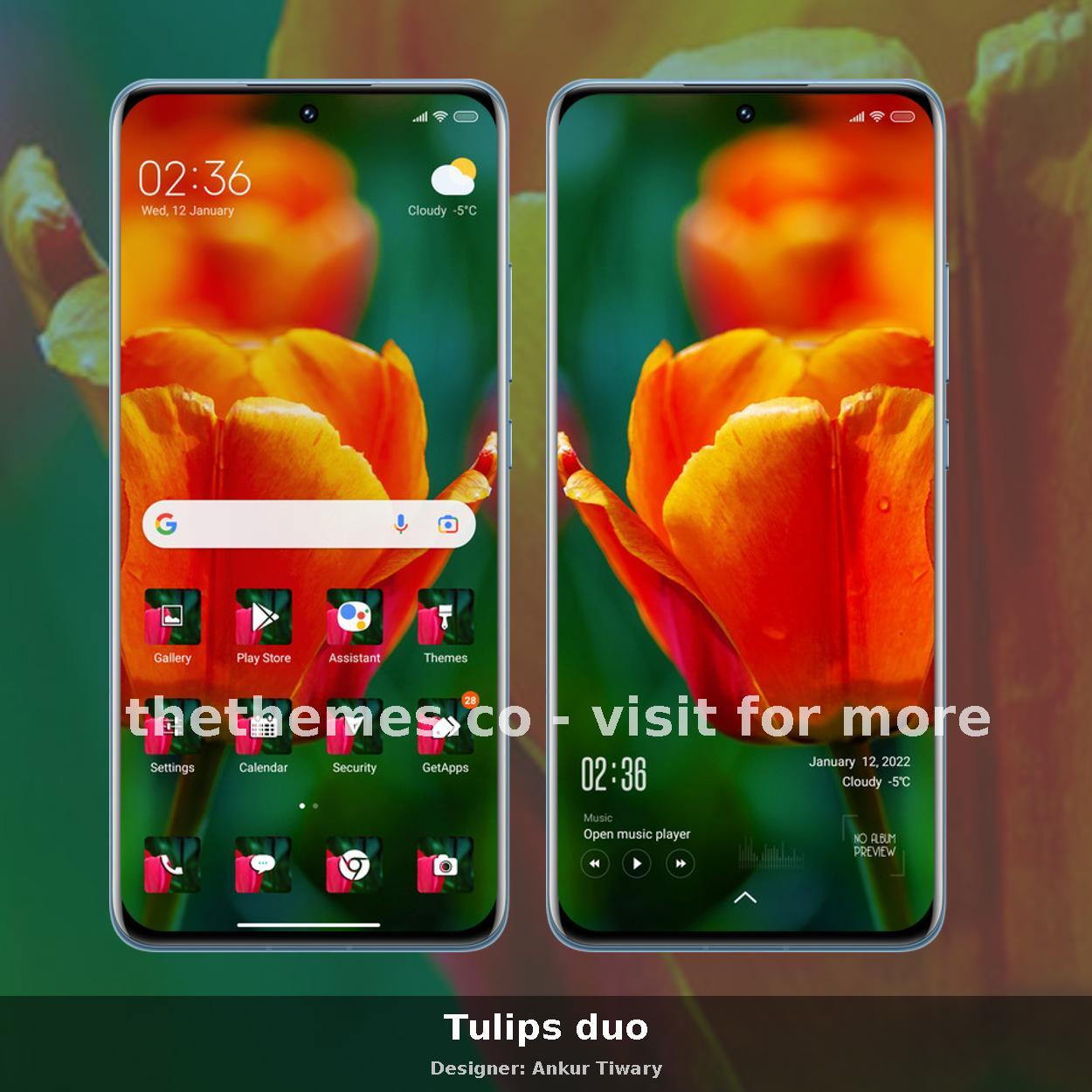 Tulips duo