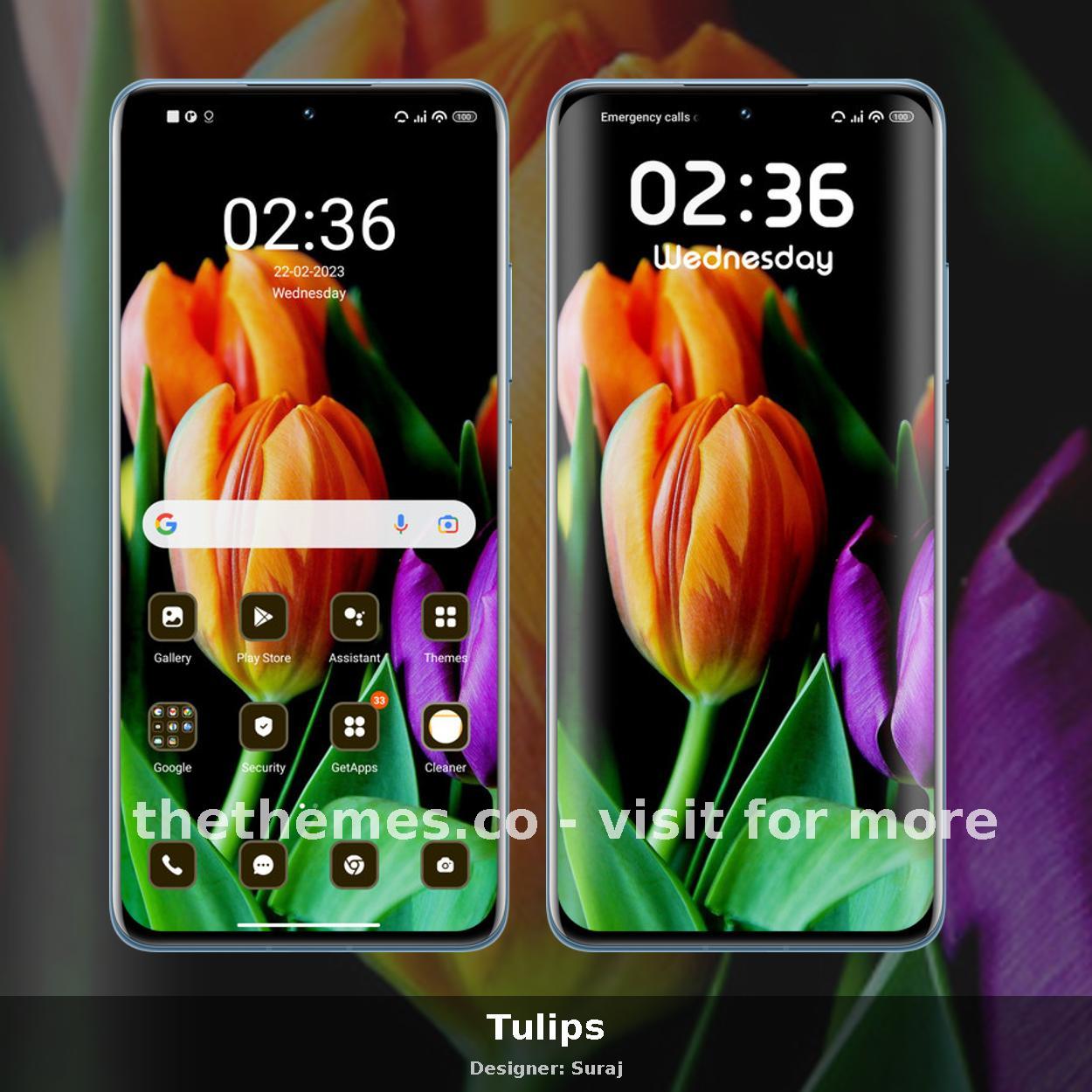 Tulips