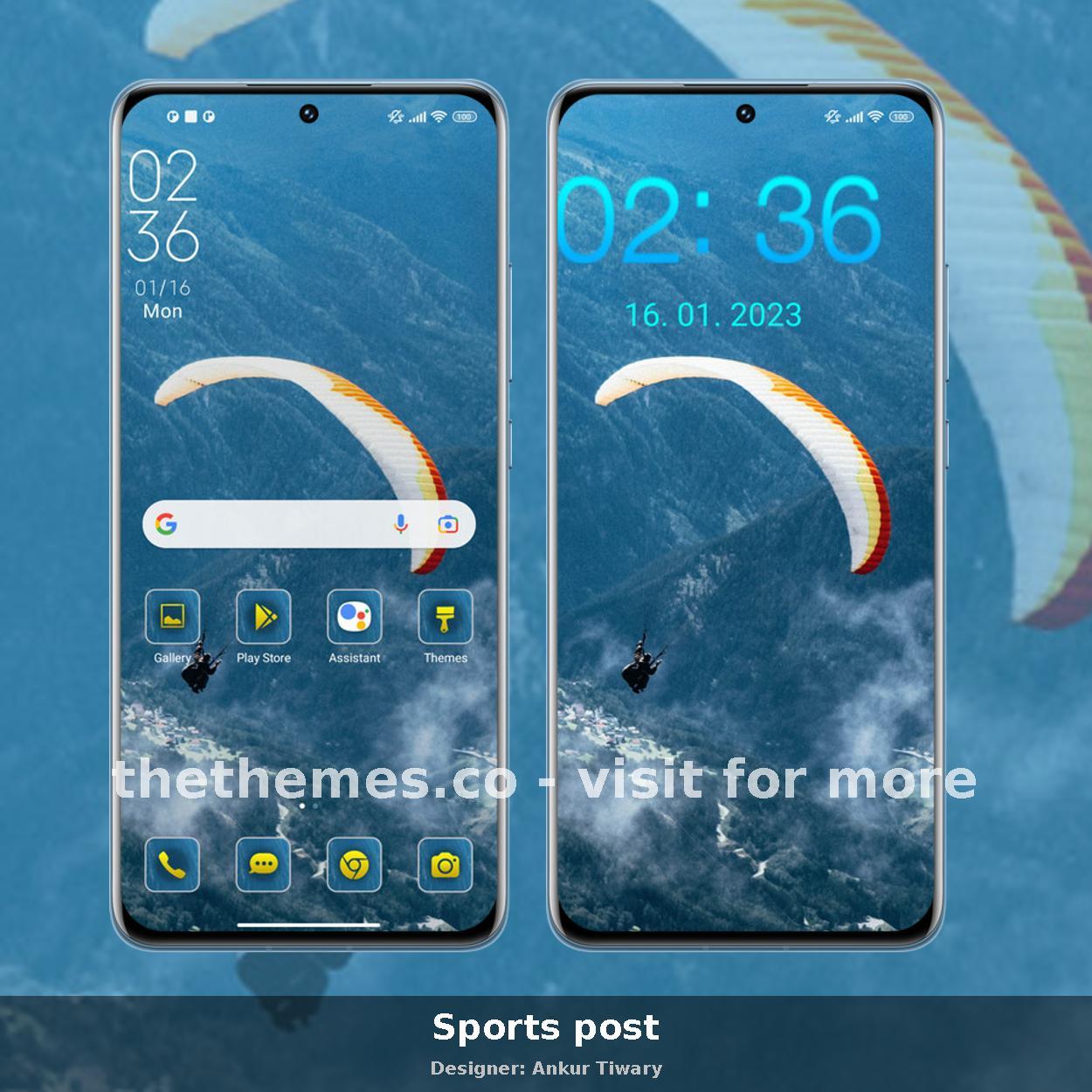 Sports post