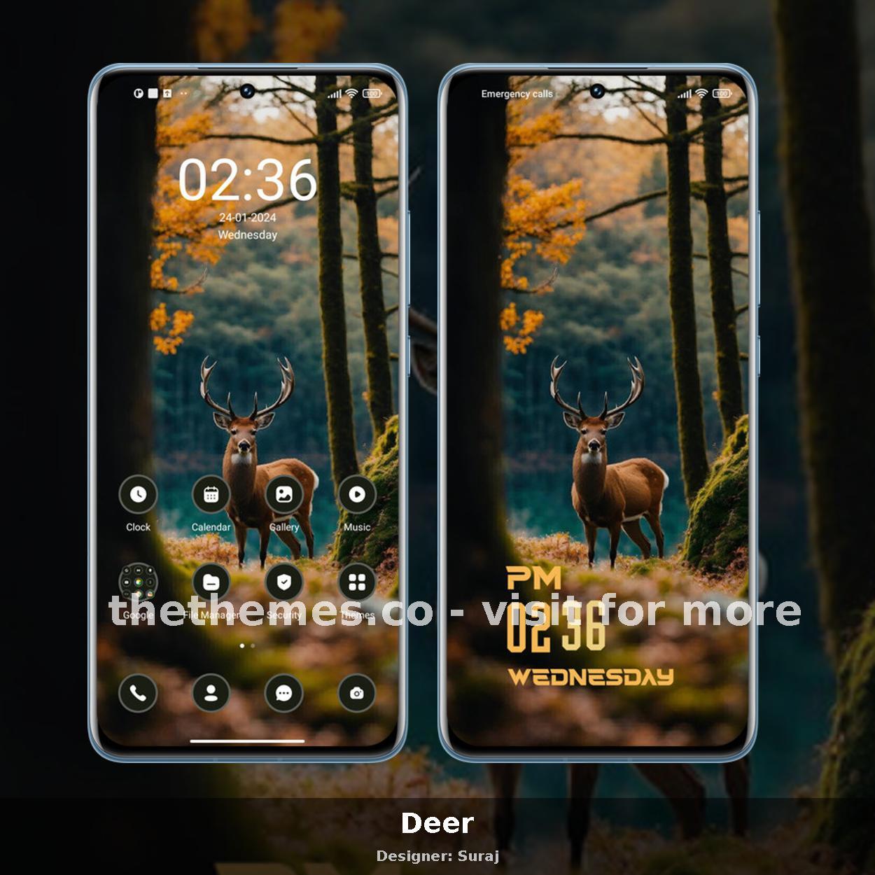 Deer