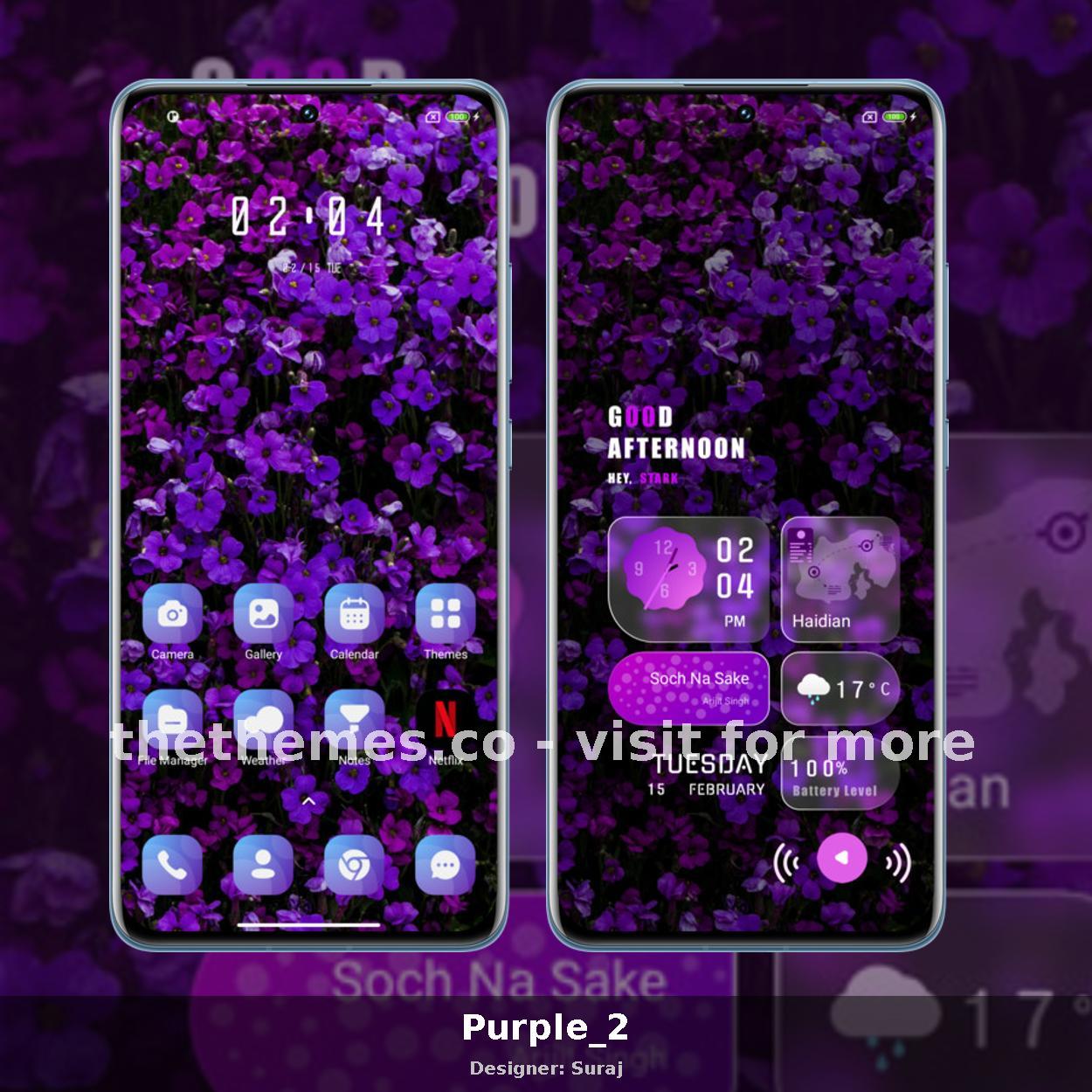 Purple_2