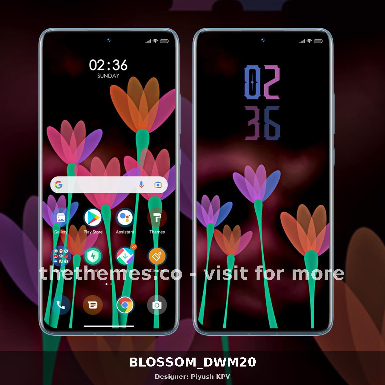 BLOSSOM_DWM20