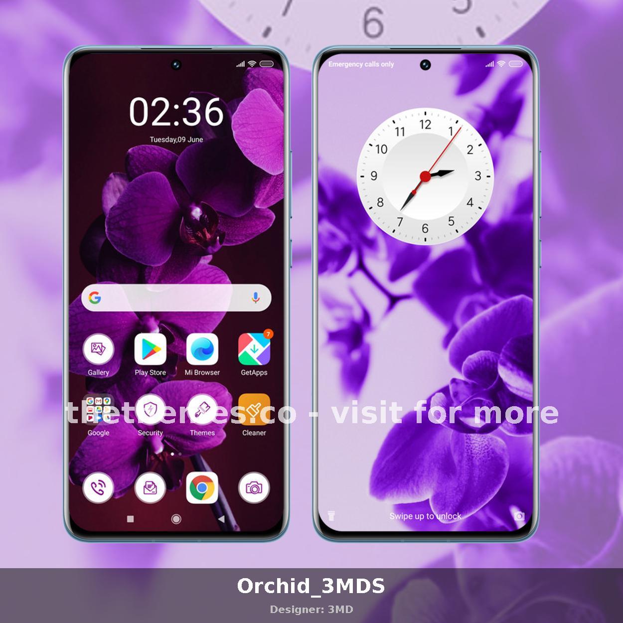 Orchid_3MDS