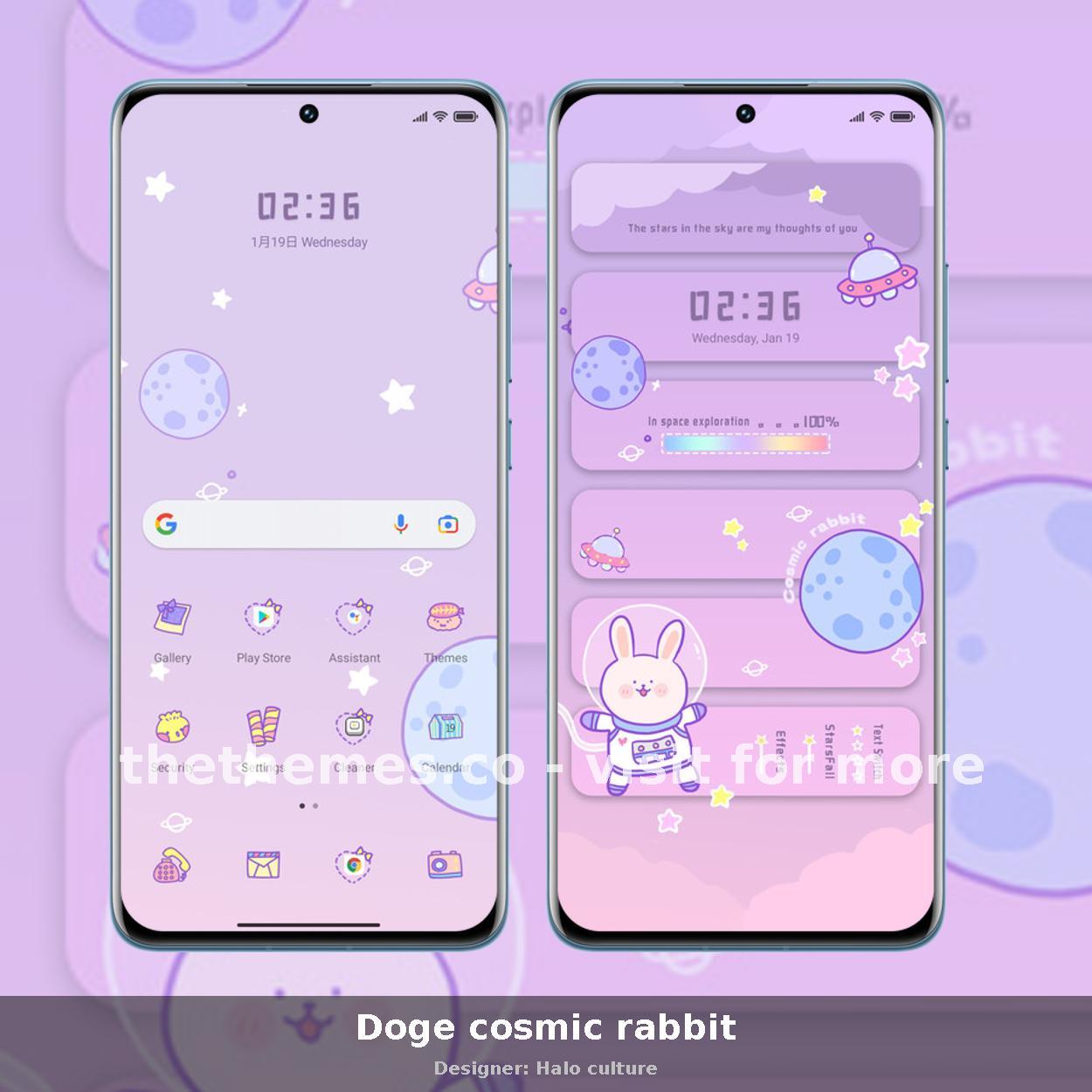 Doge cosmic rabbit