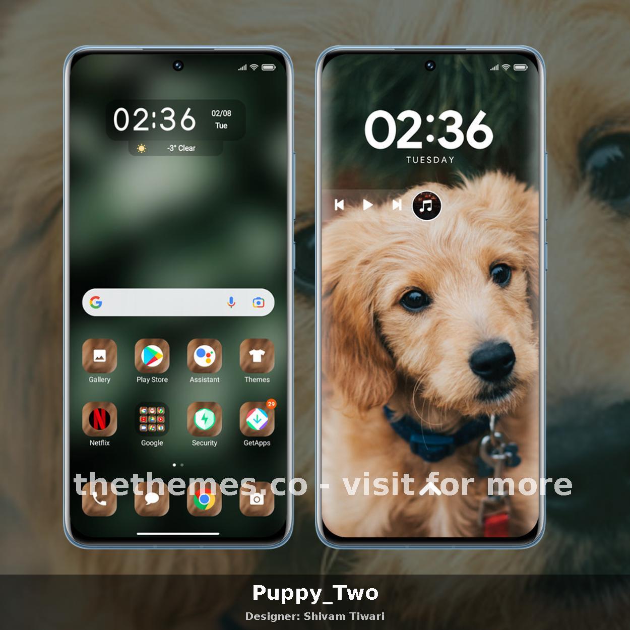 Puppy_Two