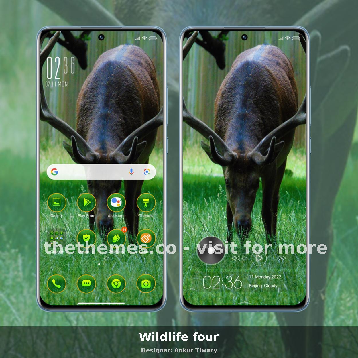 Wildlife four
