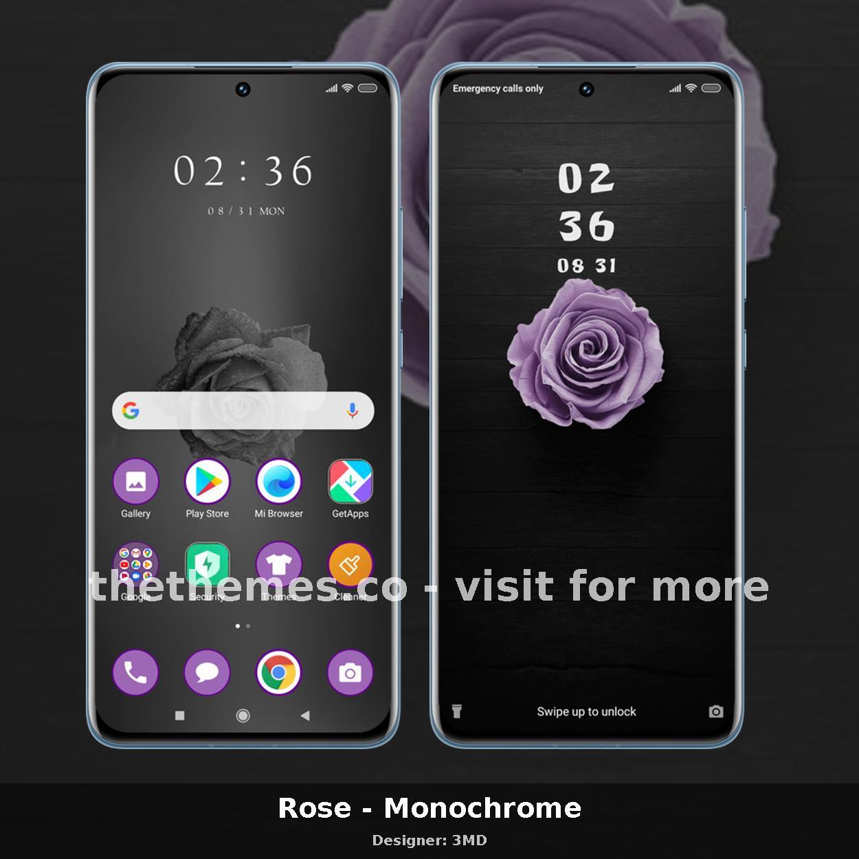 Rose - Monochrome