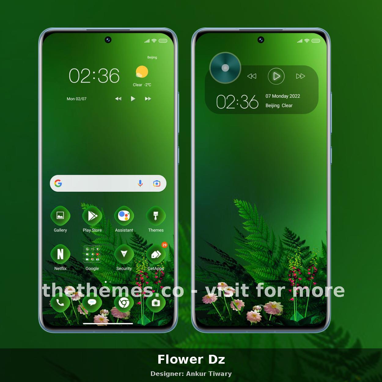 Flower Dz
