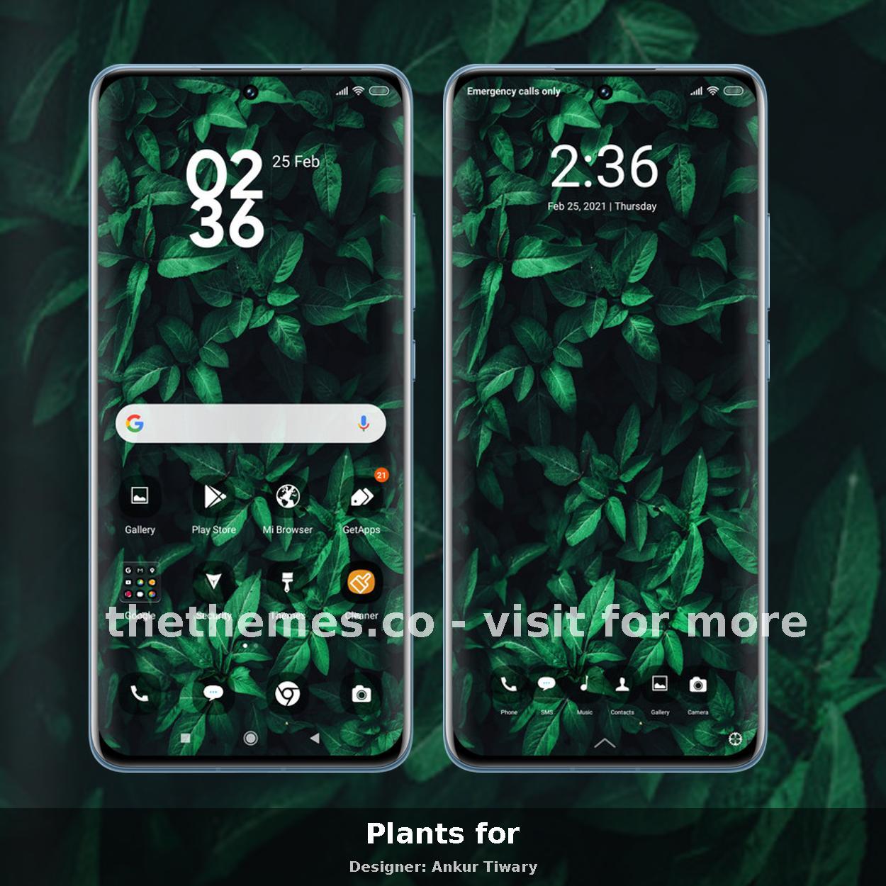 Plants for