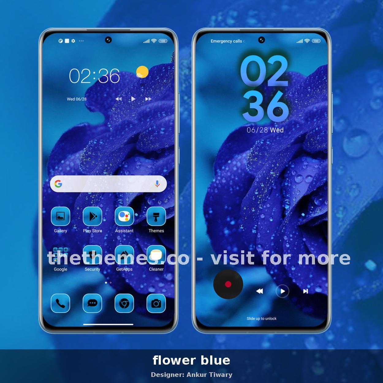 flower blue