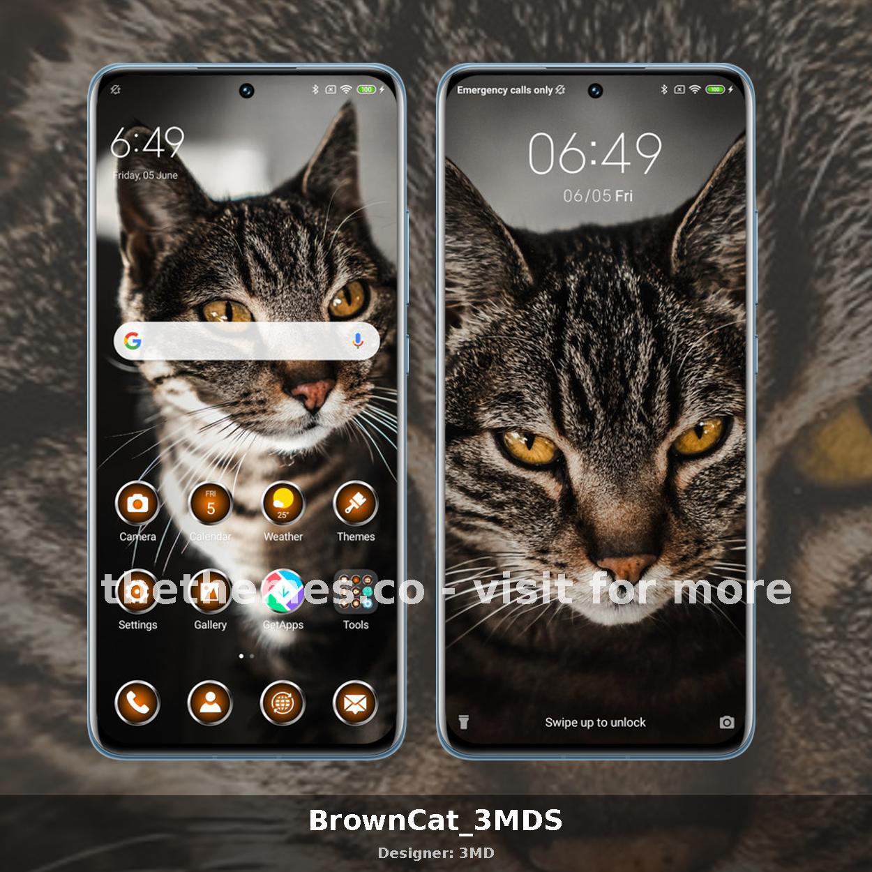 BrownCat_3MDS