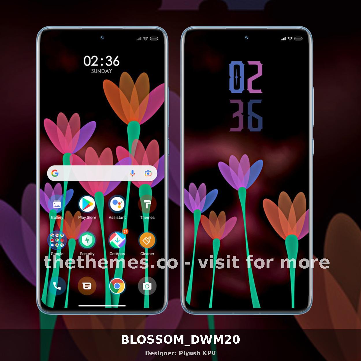 BLOSSOM_DWM20