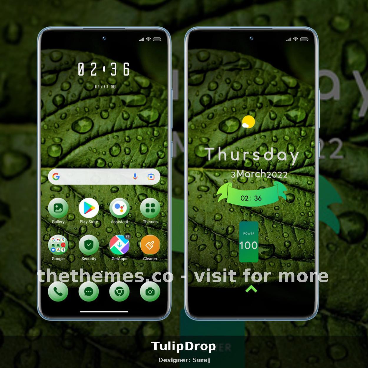 TulipDrop