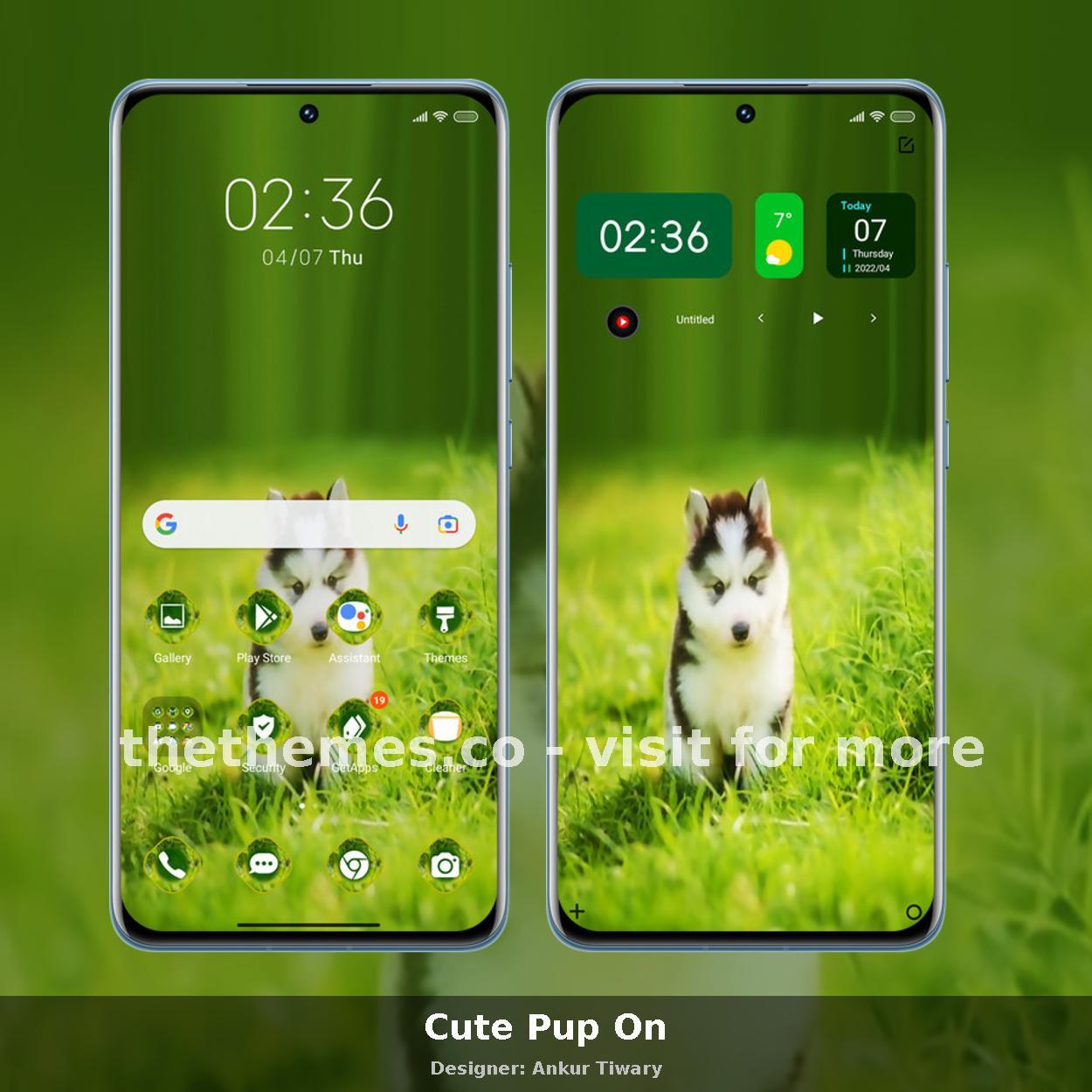 Cute Pup On