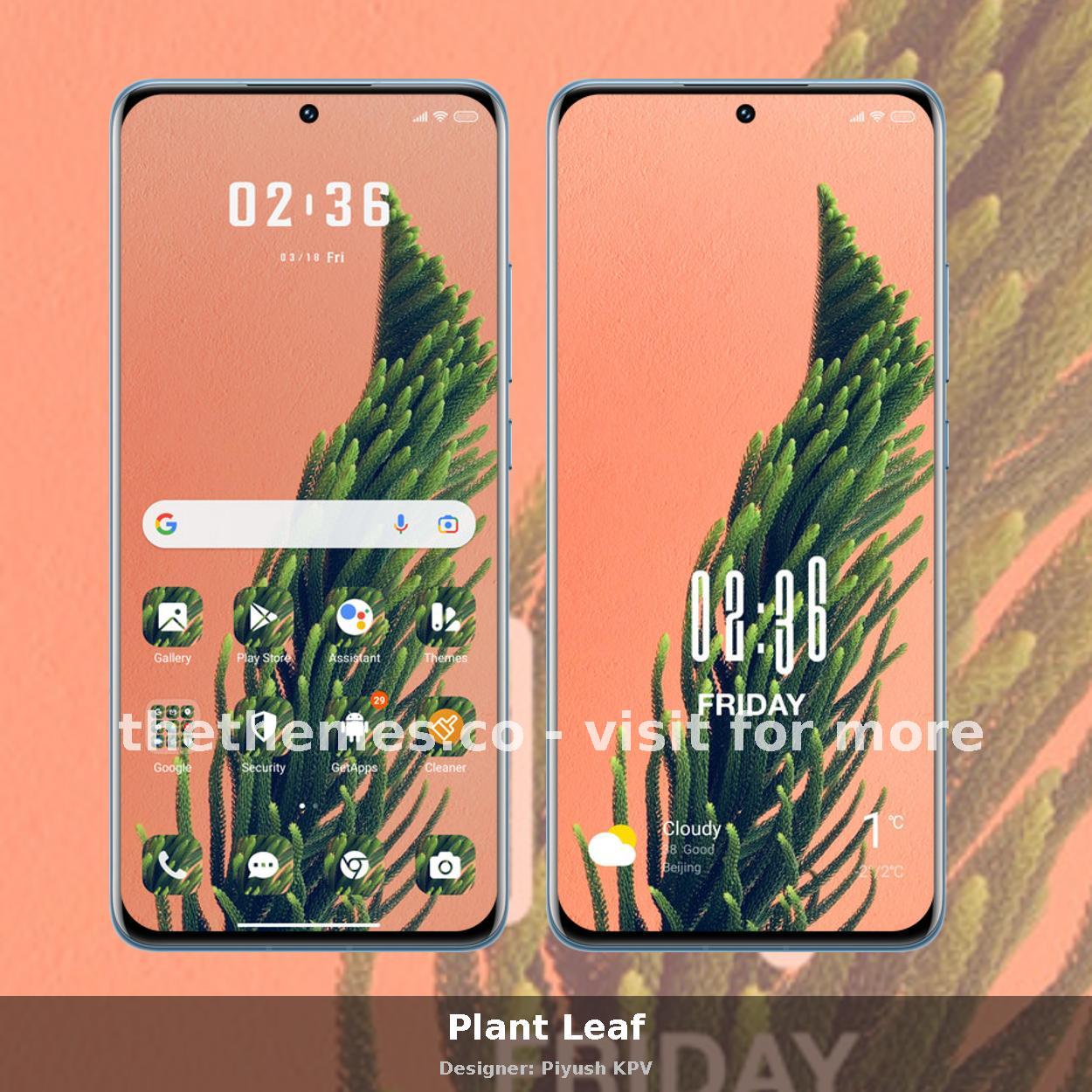 Plant Leaf