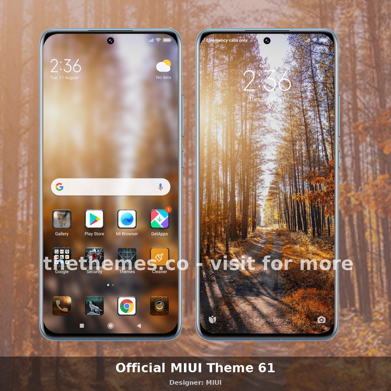Official MIUI Theme 61